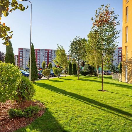 Apartment Richy Braşov Dış mekan fotoğraf